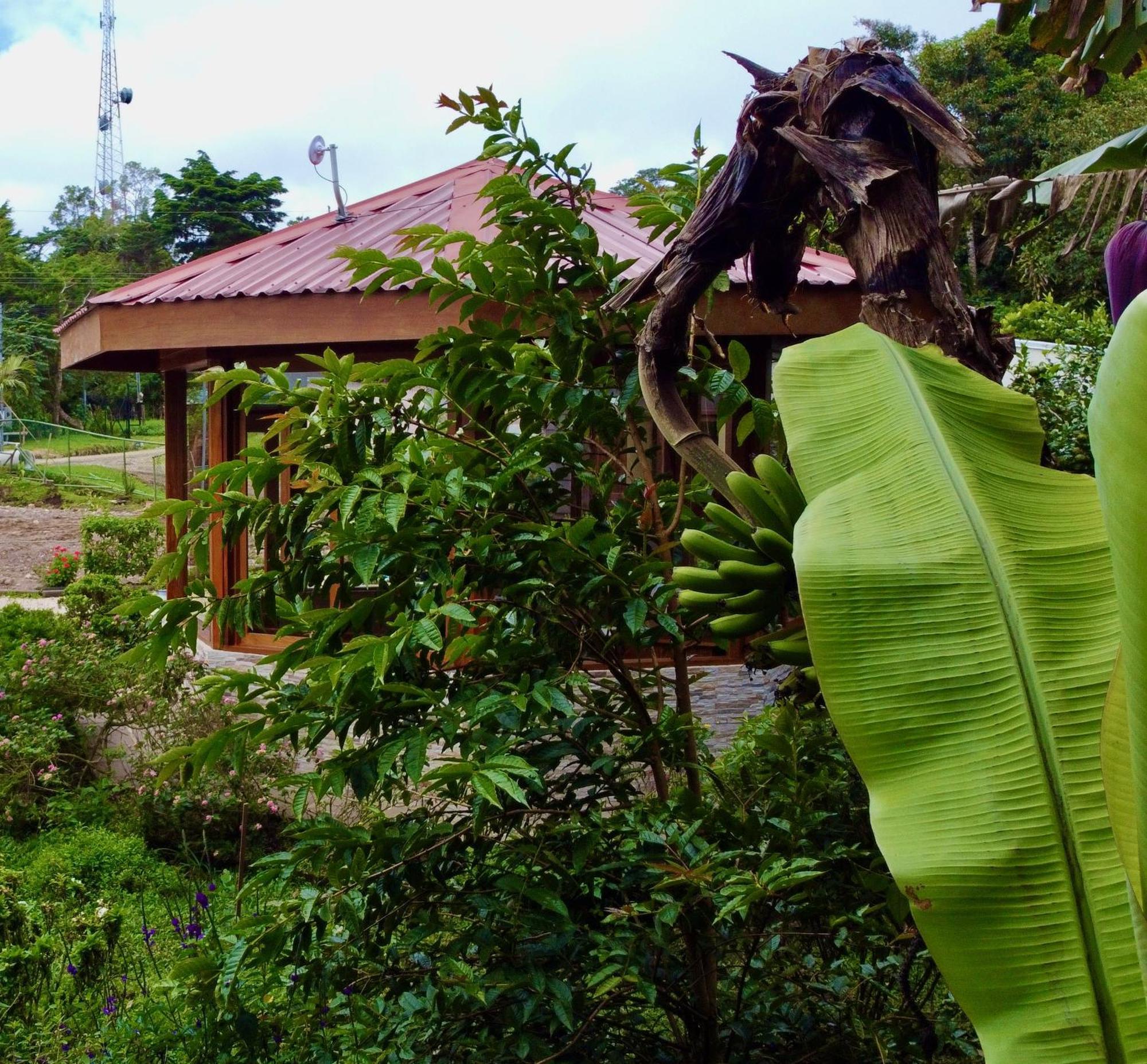 Apartmán Cabina Monteverde Soan De Montana Exteriér fotografie